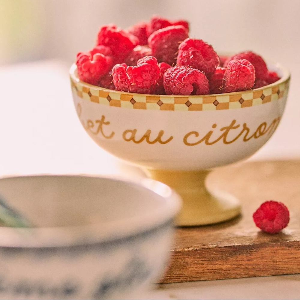 2!!!! ANTHROPOLOGIE NWT cafe violette hand painted stoneware ice cream bowl